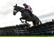 26 November 2017; Le Hachette, with Cathal Landers up, jump the last during the Tattersalls Ireland Irish EBF Mares Auction Maiden Hurdle at Navan Racecourse in Navan, Co Meath. Photo by Cody Glenn/Sportsfile