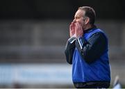 3 December 2017; Kinsale manager Michael O’Connor during the All-Ireland Ladies Football Intermediate Club Championship Final match between Dunboyne and Kinsale at Parnell Park in Dublin. Photo by Seb Daly/Sportsfile