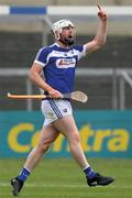 25 June 2017; Neil Foyle of Laois celebrates after scoring the winning point during the GAA Hurling All-Ireland Senior Championship Preliminary Round match between Laois and Carlow at O'Moore Park in Portlaoise, Co. Laois. Photo by Ramsey Cardy/Sportsfile This image may be reproduced free of charge when used in conjunction with a review of the book &quot;A Season of Sundays 2017&quot;. All other usage © SPORTSFILE