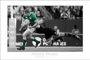 Andrew Trimble, Ireland v All Blacks 2016.