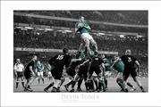 Devin Toner, Ireland v All Blacks 2016.