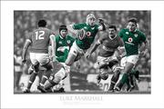 Luke Marshall, Ireland v Canada 2016