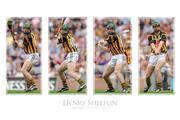 Henry Shefflin, Hurling, Legends Series.