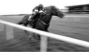 17 April 2017; ( EDITOR'S NOTE Image has been converted to Black & White) Samcro, with Lisa O'Neill up, on their way to winning the Ryans Cleaning Event Specialists Flat Race during the Fairyhouse Easter Festival at Fairyhouse Racecourse in Ratoath, Co Meath. Photo by Cody Glenn/Sportsfile