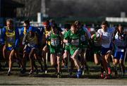 10 December 2017; Paul Pollock and Sean Tobin of Ireland competing in the Senior Men's event during the European Cross Country Championships 2017 at Samorin in Slovakia. Photo by Sam Barnes/Sportsfile