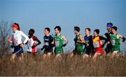 10 December 2017; Athletes, including Paul Pollock, centre, Hugh Armstrong, centre right, and Kevin Dooney, right, of Ireland competing in the Senior Men's event during the European Cross Country Championships 2017 at Samorin in Slovakia. Photo by Sam Barnes/Sportsfile