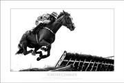 Forever Charmer, with Chris Timmons up, Fairyhouse, 2017.