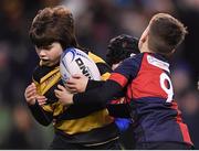 16 December 2017; Action during the Bank of Ireland Half-Time Minis between County Carlow RFC and Coolmine RFC at the European Rugby Champions Cup Pool 3 Round 4 match between Leinster and Exeter Chiefs at the Aviva Stadium in Dublin. Photo by Brendan Moran/Sportsfile