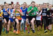 17 December 2017; Cait O'Reilly, 231, of Annalee AC, Co Cavan on her way to winning the Girls under-11 1500m at the AAI Novice & Juvenile Uneven Age XC Championships at the WIT Arena in Waterford. Photo by Matt Browne/Sportsfile