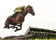 18 April 2017; Forever Charmer, with Chris Timmons up, jumps the last in the Lilly Bain Bathroom and Tiles Supporting Newry RFC Maiden Hurdle during the Fairyhouse Easter Festival at Fairyhouse Racecourse in Ratoath, Co Meath. Photo by Seb Daly/Sportsfile