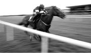 17 April 2017; ( EDITOR'S NOTE Image has been converted to Black & White) Samcro, with Lisa O'Neill up, on their way to winning the Ryans Cleaning Event Specialists Flat Race during the Fairyhouse Easter Festival at Fairyhouse Racecourse in Ratoath, Co Meath. Photo by Cody Glenn/Sportsfile