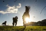 27 December 2017; A general view of the field after jumping the first fence during the Paddy's Rewards Club Steeplechase on day 2 of the Leopardstown Christmas Festival at Leopardstown in Dublin. Photo by Matt Browne/Sportsfile
