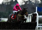 28 December 2017; Snow Falcon, with Sean Flanagan up, jumps the last on their way to winning the Midland Legal Solicitors Beginners Steeplechase on day 3 of the Leopardstown Christmas Festival at Leopardstown in Dublin. Photo by Seb Daly/Sportsfile