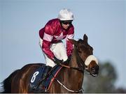 29 December 2017; Shattered Love, with Mark Walsh up, after winning the Neville Hotels Novice Steeplechase on day 4 of the Leopardstown Christmas Festival at Leopardstown in Dublin. Photo by Seb Daly/Sportsfile
