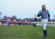 29 December 2017; Hercules on his way to winning the Top Oil Charity Mascot Race on day 4 of the Leopardstown Christmas Festival at Leopardstown in Dublin. Photo by Seb Daly/Sportsfile