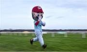 29 December 2017; Mario takes part during the Top Oil Charity Mascot Race on day 4 of the Leopardstown Christmas Festival at Leopardstown in Dublin. Photo by David Fitzgerald/Sportsfile