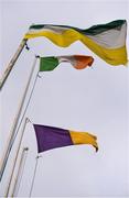 30 December 2017; The Offaly, Ireland, and Wexford flags flying at the Bord na Móna O’Byrne Cup Group 1 First Round match between Offaly and Wexford at Bord na Móna O'Connor Park in Tullamore, Co Offaly. Photo by Piaras Ó Mídheach/Sportsfile