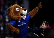 6 January 2018; Leo the Lion during the Guinness PRO14 Round 13 match between Leinster and Ulster at the RDS Arena in Dublin. Photo by Seb Daly/Sportsfile