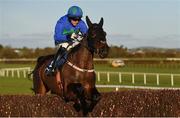 7 January 2018; Asthuria, with Paul Townend up, on their way to winning the Irish Stallion Farms EBF Mares Beginners Steeplechase during Horse Racing from Naas at Naas Racecourse in Kildare. Photo by Eóin Noonan/Sportsfile