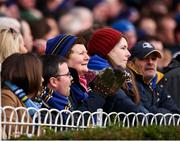 14 January 2018; Leinster supporters during the European Rugby Champions Cup Pool 3 Round 5 match between Leinster and Glasgow Warriors at the RDS Arena in Dublin. Photo by Stephen McCarthy/Sportsfile