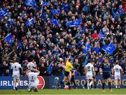 14 January 2018; Leinster supporters celebrate a try during the European Rugby Champions Cup Pool 3 Round 5 match between Leinster and Glasgow Warriors at the RDS Arena in Dublin. Photo by Stephen McCarthy/Sportsfile