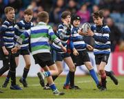 14 January 2018; Action during the Bank of Ireland Half-Time Minis between Wanderers RFC and Gorey RFC at the European Rugby Champions Cup Pool 3 Round 5 match between Leinster and Glasgow Warriors at the RDS Arena in Dublin. Photo by Stephen McCarthy/Sportsfile