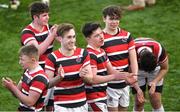 24 January 2018; Wesley College players celebrate after the Bank of Ireland Leinster Schools Vinnie Murray Cup Semi-Final match between CBC Monkstown Park and Wesley College at Donnybrook Stadium in Dublin. Photo by Piaras Ó Mídheach/Sportsfile