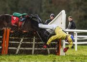 25 January 2018; Daniel Holden falls from his mount Glen's Dd at the last during the Ladbrokes Handicap Hurdle at the Gowran Park Races in Gowran Park, Co Kilkenny. Photo by Matt Browne/Sportsfile