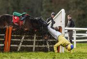 25 January 2018; Daniel Holden falls from his mount Glen's Dd at the last during the Ladbrokes Handicap Hurdle at the Gowran Park Races in Gowran Park, Co Kilkenny. Photo by Matt Browne/Sportsfile