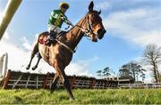 25 January 2018; Scarpeta, with Paul Townend up, clears the last on their way to winning the Langton House Hotel Maiden Hurdle at the Gowran Park Races in Gowran Park, Co Kilkenny. Photo by Matt Browne/Sportsfile