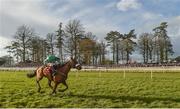 25 January 2018; Presenting Percy, with Davy Russell up, on their way to winning the John Mulhern Galmoy Hurdle at the Gowran Park Races in Gowran Park, Co Kilkenny. Photo by Matt Browne/Sportsfile
