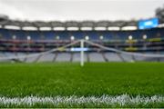 27 January 2018; A detailed view of the pitch prior to the Allianz Hurling League Division 1B Round 1 match between Dublin and Offaly at Croke Park in Dublin. Photo by Seb Daly/Sportsfile