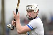 28 January 2018; Shane McNolty of Waterford during the Allianz Hurling League Division 1A Round 1 match between Waterford and Wexford at Walsh Park in Waterford.  Photo by Matt Browne/Sportsfile