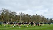 1 February 2018; A general view during Ireland rugby squad training at Carton House in Maynooth, Co Kildare. Photo by David Fitzgerald/Sportsfile