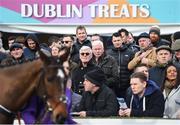 3 February 2018; Racegoers watch horses in the parade ring during Day 1 of the Dublin Racing Festival at Leopardstown Racecourse in Leopardstown, Dublin. Photo by David Fitzgerald/Sportsfile