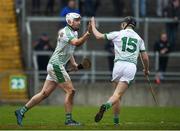 4 February 2018; Aaron Gillane of Limerick, left, celebrates after scoring his side's first goal, with team-mate Barry Murphy during the Allianz Hurling League Division 1B Round 2 match bewteen Offaly and Limerick at Bord Na Móna O'Connor Park, in Tullamore, Offaly. Photo by Daire Brennan/Sportsfile
