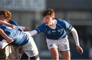 6 February 2018; John Kennedy of St Mary's College during the Bank of Ireland Leinster Schools Junior Cup Round 1 match between Newbridge College and St Mary's College at Donnybrook Stadium in Dublin. Photo by Daire Brennan/Sportsfile