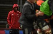 10 February 2018; Munster head coach Johann van Graan prior to the Guinness PRO14 Round 14 match between Munster and Zebre at Thomond Park in Limerick. Photo by Diarmuid Greene/Sportsfile
