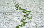 11 February 2018; Footprints in the snow on the pitch in Grattan Park after the Allianz Football League Division 1 Round 3 match between Monaghan and Kerry at Páirc Grattan in Inniskeen, Monaghan, was called off. Photo by Brendan Moran/Sportsfile