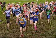 10 February 2018; A general view of the start of Girls U13 during the Irish Life Health Intermediates, Masters, Juvenile B & Juvenile XC Relays at Kilcoran Estate in Clainbridge, County Galway.   Photo by Sam Barnes/Sportsfile
