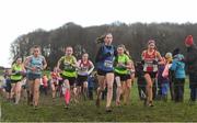 10 February 2018; A general view of the field during the Girls U15 Event during the Irish Life Health Intermediates, Masters, Juvenile B & Juvenile XC Relays at Kilcoran Estate in Clainbridge, County Galway. Photo by Sam Barnes/Sportsfile
