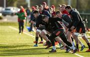 12 February 2018; Dave Kilcoyne and Sean McCarthy during Munster Rugby squad training at the University of Limerick in Limerick. Photo by Diarmuid Greene/Sportsfile