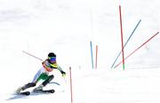 16 February 2018; Tess Arbez of Ireland in action during the Ladies Slalom on day seven of the Winter Olympics at the Yongpyong Alpine Centre in Pyeongchang-gun, South Korea. Photo by Ramsey Cardy/Sportsfile