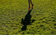 21 February 2018; A general view of the shadow of a competitor during the Irish Life Health Leinster Schools Cross Country at Santry Demesne in Santry, Co Dublin. Photo by Piaras Ó Mídheach/Sportsfile