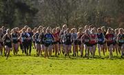 21 February 2018; Competitors in the Senior Girls 2,500m event during the Irish Life Health Leinster Schools Cross Country at Santry Demesne in Santry, Co Dublin. Photo by Piaras Ó Mídheach/Sportsfile