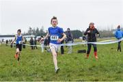 23 February 2018; Tommy Fennell, from St Augustine's College, Dungarvan, on his way to winning the boy's minor 2500m at the Irish Life Health Munster Schools Cross Country at Waterford IT in Waterford. Photo by Matt Browne/Sportsfile