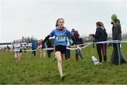 23 February 2018; Aoibhinn Murphy, from John the Baptist Community School, Co. Limerick. who finished second during the girls minor 2000m at the Irish Life Health Munster Schools Cross Country at Waterford IT in Waterford. Photo by Matt Browne/Sportsfile