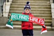 24 February 2018; Ireland supporter Nicolas Salamanca, age 5, from Malaga, Spain, prior to the NatWest Six Nations Rugby Championship match between Ireland and Wales at the Aviva Stadium in Lansdowne Road, Dublin. Photo by David Fitzgerald/Sportsfile