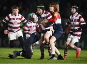 23 February 2018; Action from the Bank of Ireland Half-Time Minis match between Tullow RFC and Old Wesley during the Guinness PRO14 Round 16 match between Leinster and Southern Kings at the RDS Arena in Dublin. Photo by Daire Brennan/Sportsfile