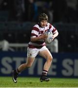 23 February 2018; Action from the Bank of Ireland Half-Time Minis match between Tullow RFC and Old Wesley during the Guinness PRO14 Round 16 match between Leinster and Southern Kings at the RDS Arena in Dublin. Photo by Daire Brennan/Sportsfile